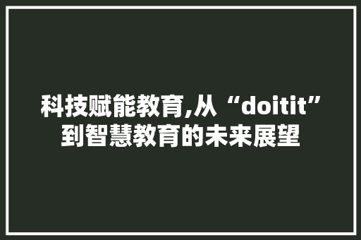 科技赋能教育,从“doitit”到智慧教育的未来展望 头条优化