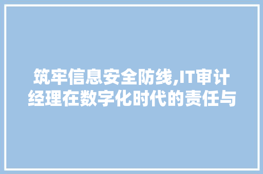 筑牢信息安全防线,IT审计经理在数字化时代的责任与担当