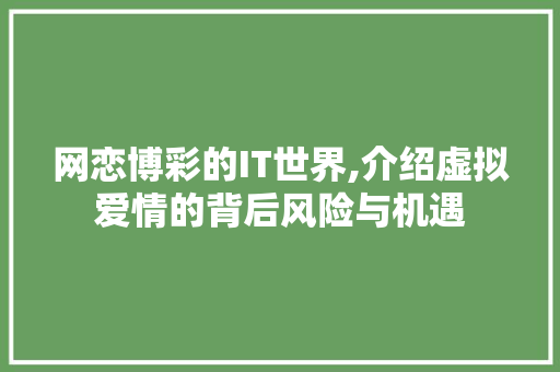 网恋博彩的IT世界,介绍虚拟爱情的背后风险与机遇