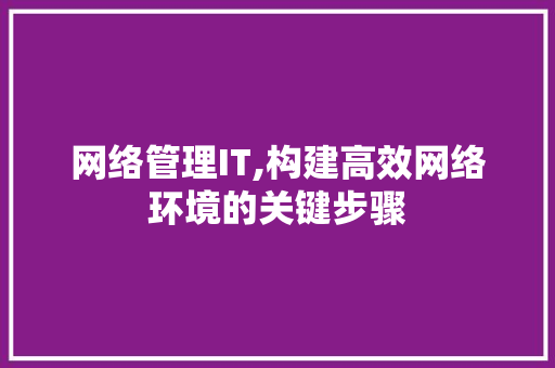 网络管理IT,构建高效网络环境的关键步骤 360搜优化