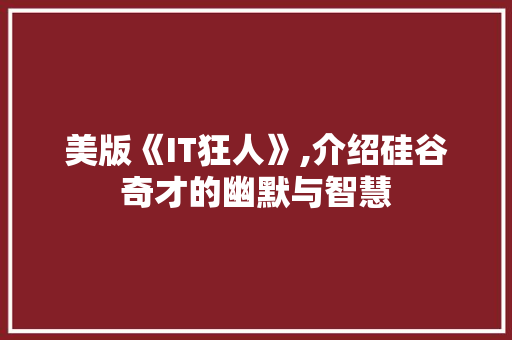 美版《IT狂人》,介绍硅谷奇才的幽默与智慧