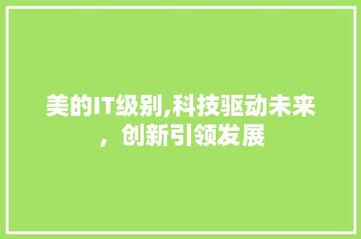 美的IT级别,科技驱动未来，创新引领发展 头条优化