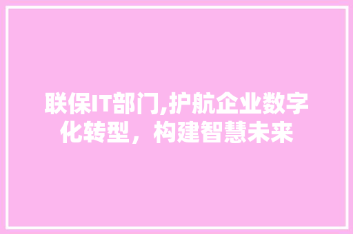 联保IT部门,护航企业数字化转型，构建智慧未来 头条优化