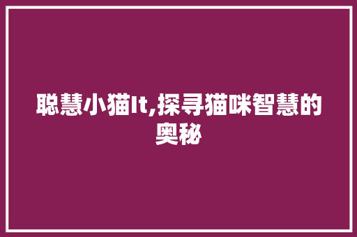 聪慧小猫It,探寻猫咪智慧的奥秘
