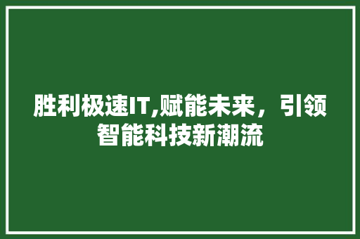 胜利极速IT,赋能未来，引领智能科技新潮流