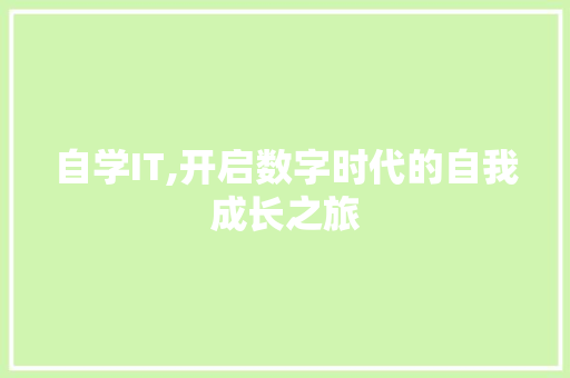 自学IT,开启数字时代的自我成长之旅 英文谷歌算法