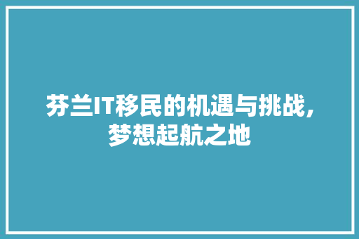芬兰IT移民的机遇与挑战,梦想起航之地 英文谷歌算法