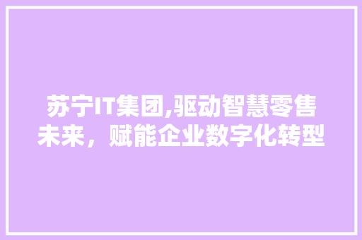 苏宁IT集团,驱动智慧零售未来，赋能企业数字化转型