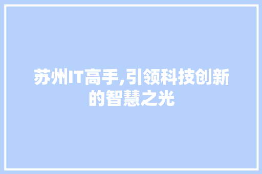 苏州IT高手,引领科技创新的智慧之光 英文谷歌算法