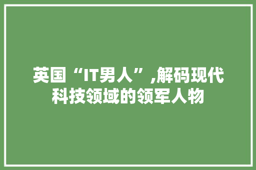 英国“IT男人”,解码现代科技领域的领军人物 网站开发