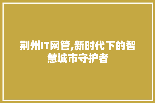荆州IT网管,新时代下的智慧城市守护者