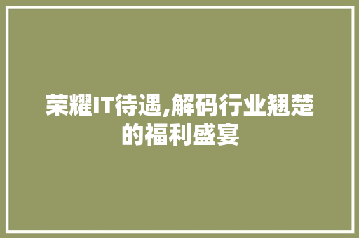 荣耀IT待遇,解码行业翘楚的福利盛宴