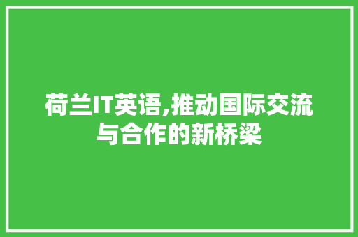 荷兰IT英语,推动国际交流与合作的新桥梁 搜狗优化