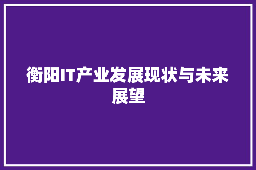 衡阳IT产业发展现状与未来展望