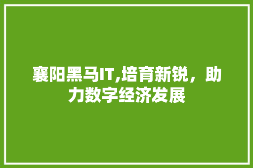 襄阳黑马IT,培育新锐，助力数字经济发展