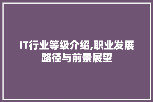 IT行业等级介绍,职业发展路径与前景展望