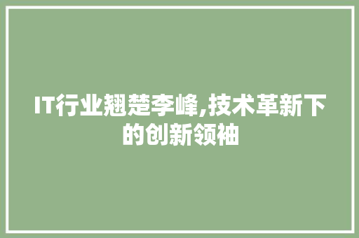 IT行业翘楚李峰,技术革新下的创新领袖