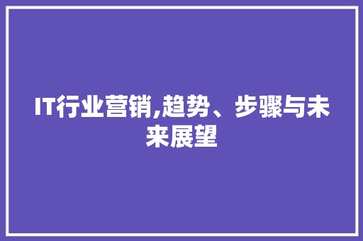 IT行业营销,趋势、步骤与未来展望 头条优化