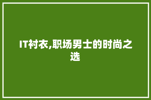 IT衬衣,职场男士的时尚之选