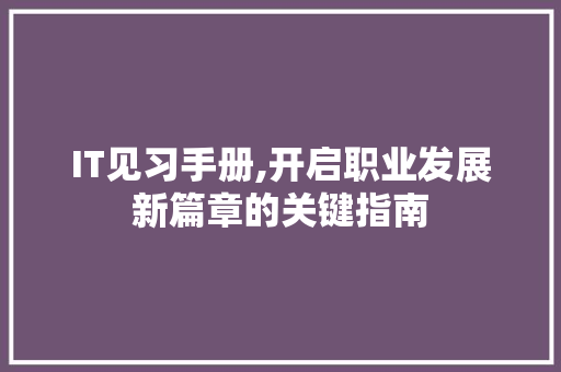 IT见习手册,开启职业发展新篇章的关键指南 seo技术