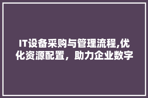 IT设备采购与管理流程,优化资源配置，助力企业数字化转型