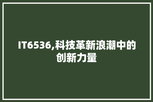 IT6536,科技革新浪潮中的创新力量 小程序开发