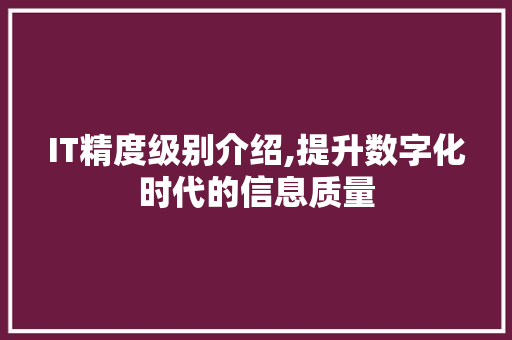 IT精度级别介绍,提升数字化时代的信息质量 英文谷歌算法