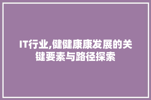 IT行业,健健康康发展的关键要素与路径探索