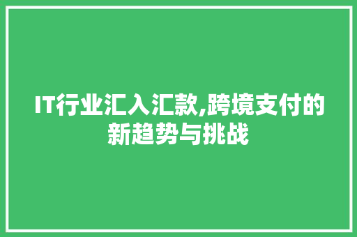 IT行业汇入汇款,跨境支付的新趋势与挑战 网站优化