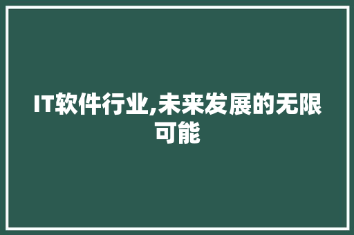 IT软件行业,未来发展的无限可能