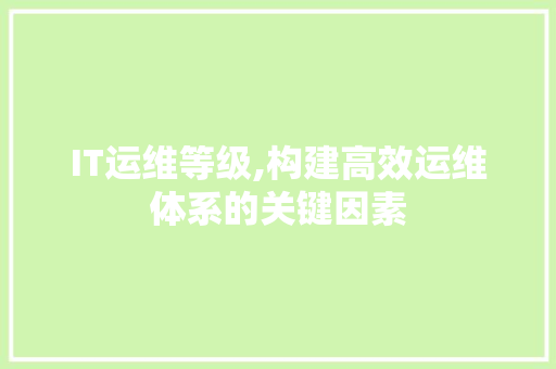 IT运维等级,构建高效运维体系的关键因素
