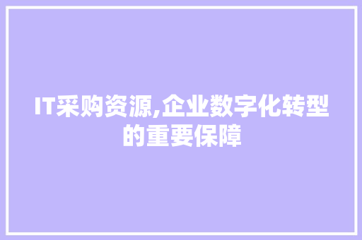 IT采购资源,企业数字化转型的重要保障
