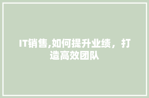 IT销售,如何提升业绩，打造高效团队