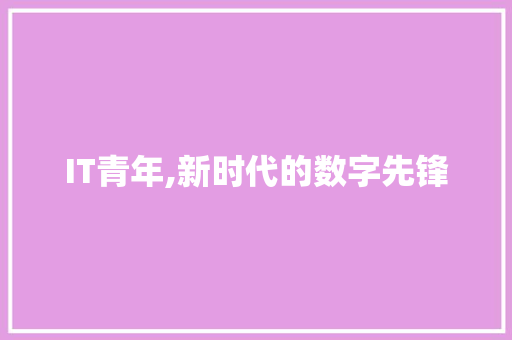 IT青年,新时代的数字先锋