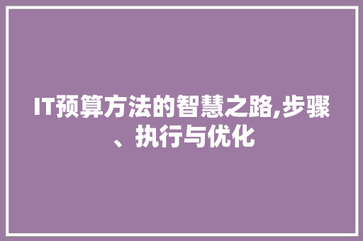IT预算方法的智慧之路,步骤、执行与优化