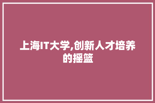 上海IT大学,创新人才培养的摇篮