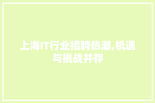 上海IT行业招聘热潮,机遇与挑战并存