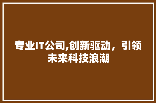 专业IT公司,创新驱动，引领未来科技浪潮 网站开发