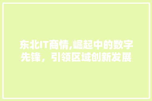 东北IT商情,崛起中的数字先锋，引领区域创新发展