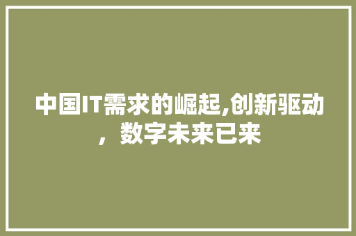 中国IT需求的崛起,创新驱动，数字未来已来