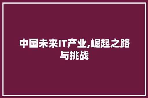 中国未来IT产业,崛起之路与挑战