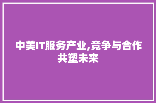 中美IT服务产业,竞争与合作共塑未来 网站开发