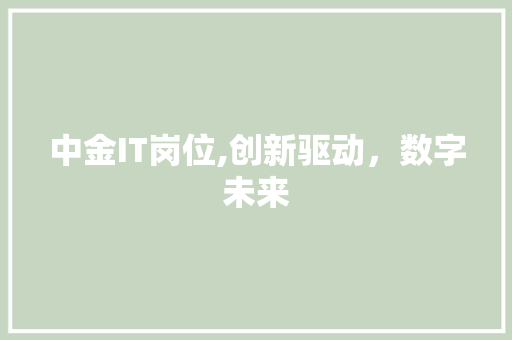 中金IT岗位,创新驱动，数字未来 网站开发