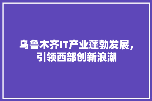 乌鲁木齐IT产业蓬勃发展，引领西部创新浪潮