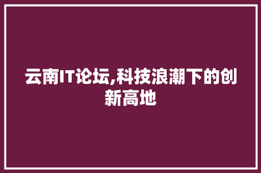 云南IT论坛,科技浪潮下的创新高地