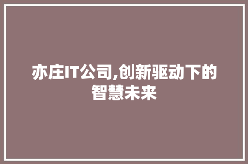亦庄IT公司,创新驱动下的智慧未来