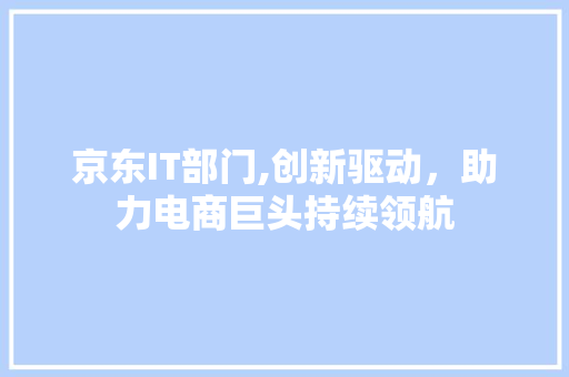 京东IT部门,创新驱动，助力电商巨头持续领航