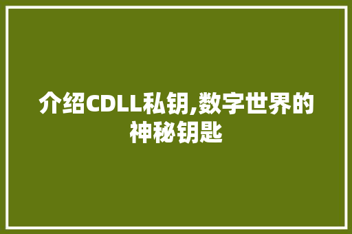 介绍CDLL私钥,数字世界的神秘钥匙