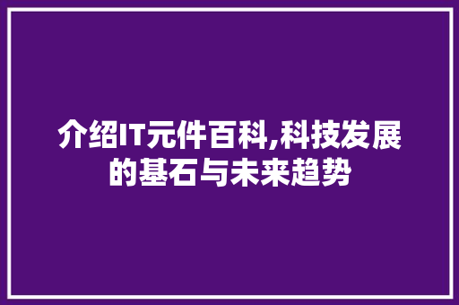 介绍IT元件百科,科技发展的基石与未来趋势