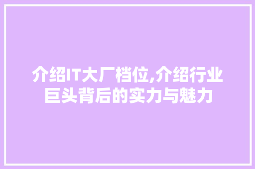 介绍IT大厂档位,介绍行业巨头背后的实力与魅力